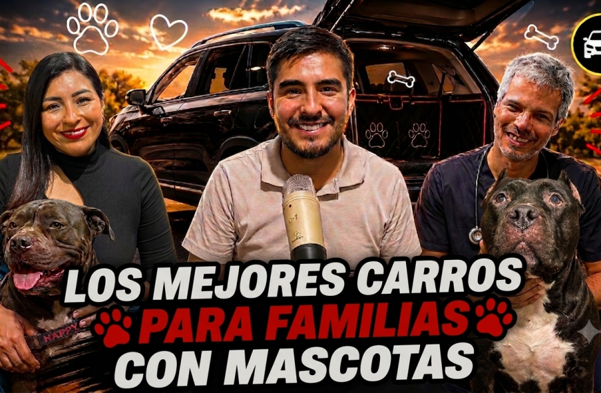 ¿Cuál es el mejor auto para viajar con mascotas? | Pancho Cavero | Cambio y Fuera 3